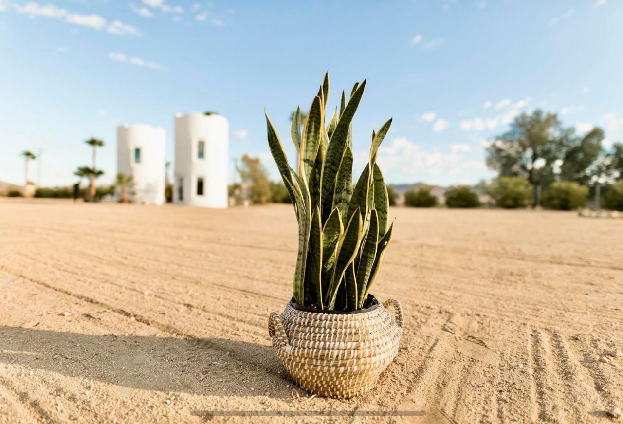 Hotel The Castle House Estate Joshua Tree Exterior foto